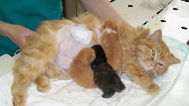 ��������������� � ����� � �����