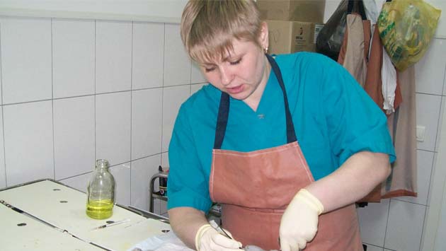 ���������� �����������