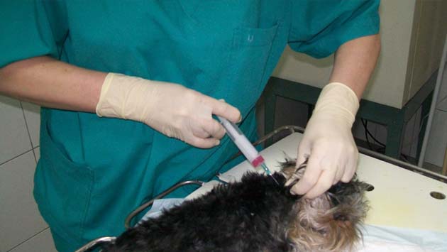 ���������� ���������� �����